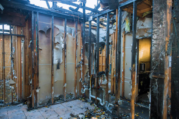 Professional Fire Damage Removal technician working in Colmar, PA